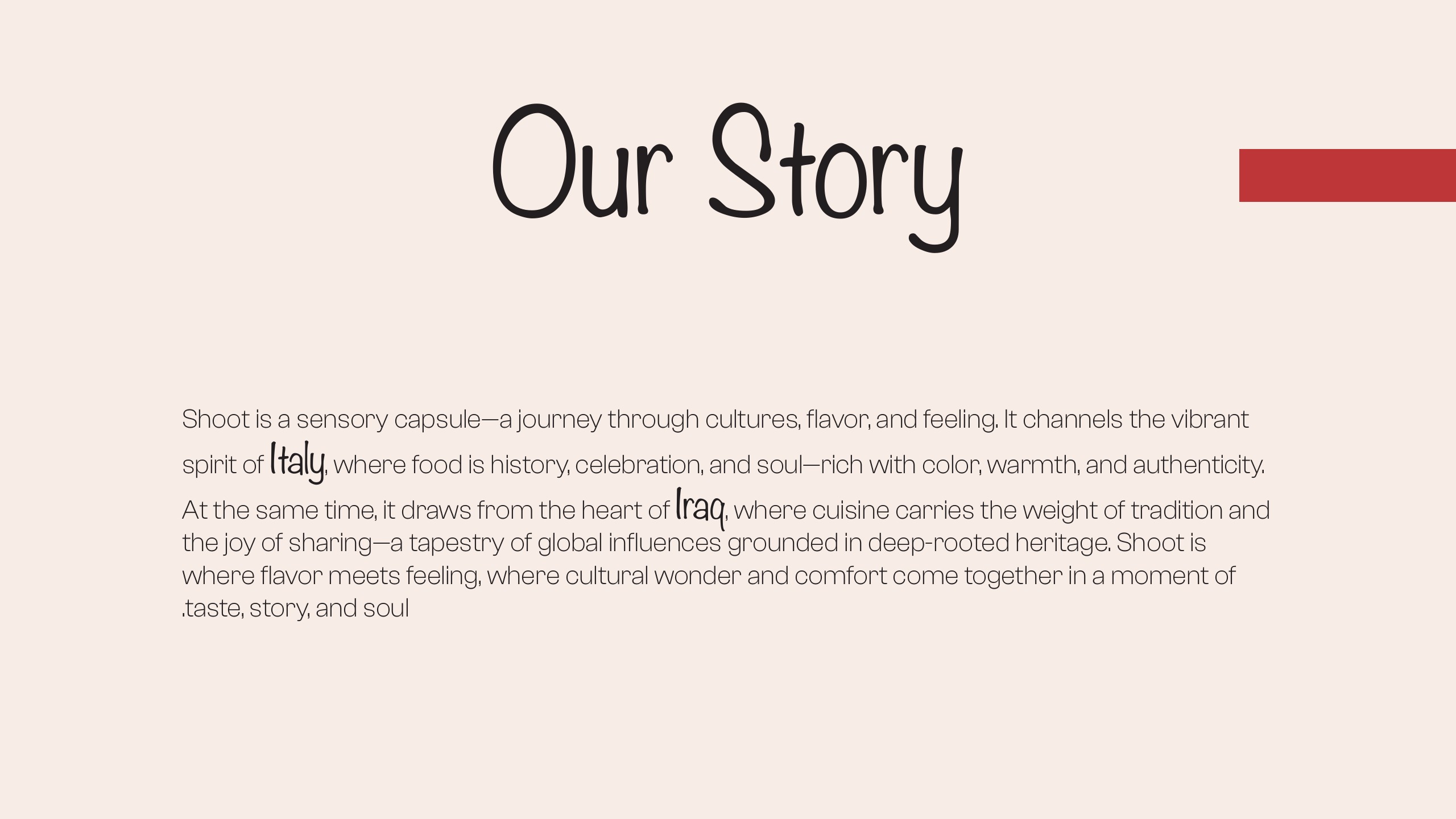 Shoot Restaurant brand guidelines page 03